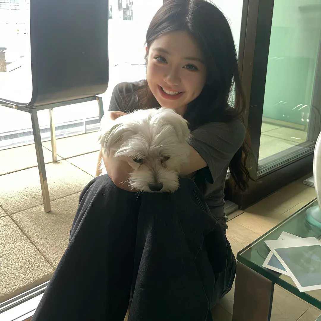 内战圣伯纳犬